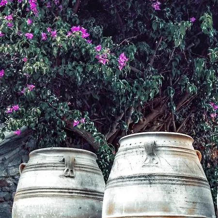 דירה The Blue Getaway - Next To Pithara Waterfalls By Explore Andros Apikia (Andros)