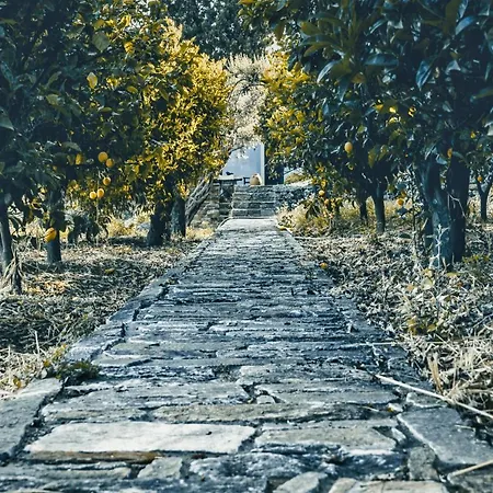 The Blue Getaway - Next To Pithara Waterfalls By Explore Andros דירה Apikia (Andros)